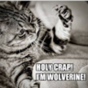 Meet your Posher, Kila